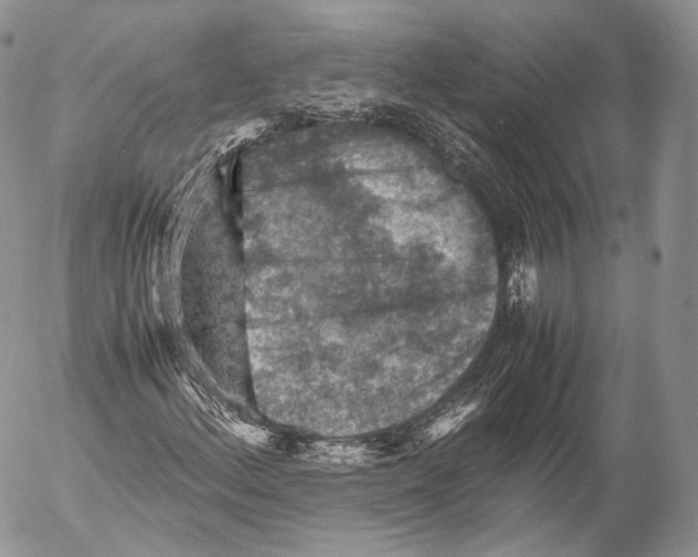 X0000053051156200508081121