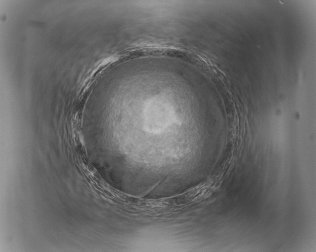 X0000053051157200508081121