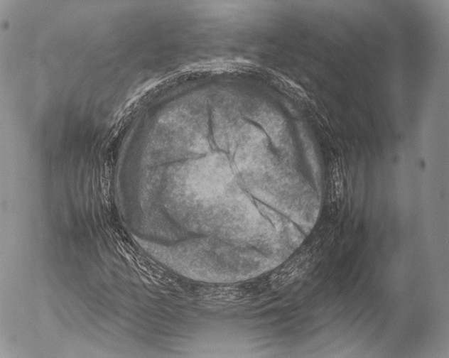 X0000053051158200508081121