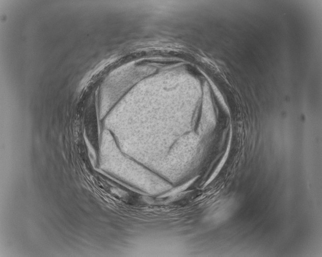 X0000053051159200508081121