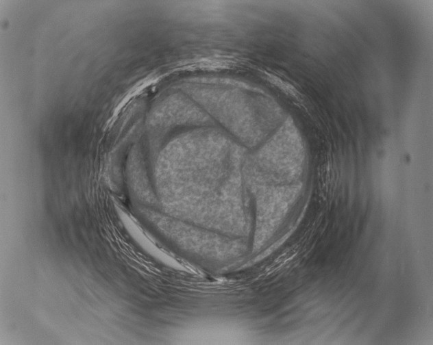 X0000053051160200508081121