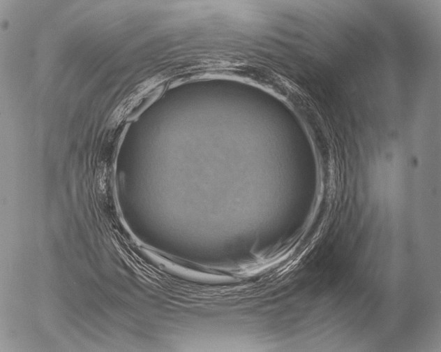 X0000053051161200508081121