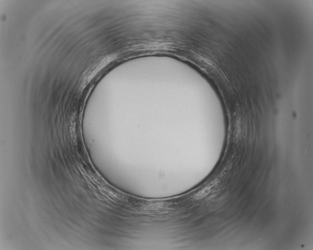 X0000053051162200508081121