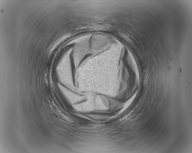 X0000053051163200508081121