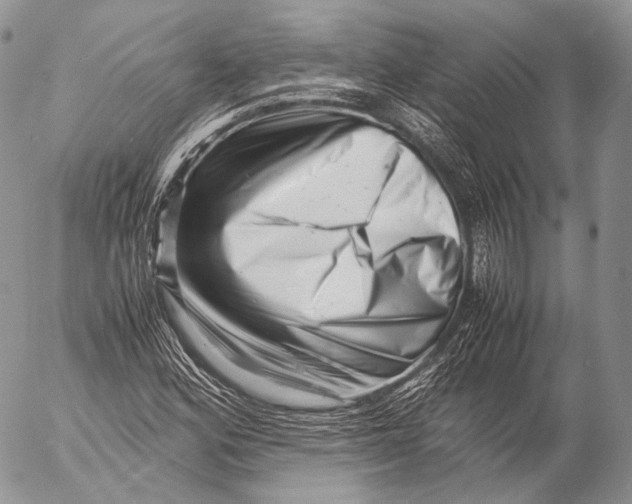 X0000053051164200508081121