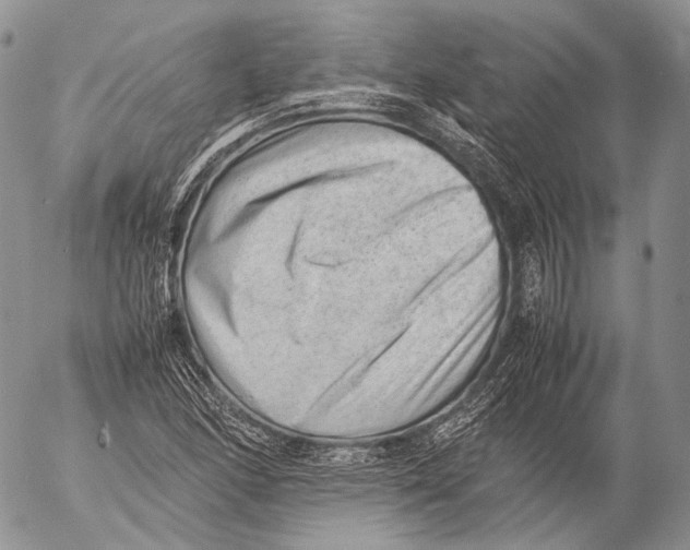 X0000053051166200508081121