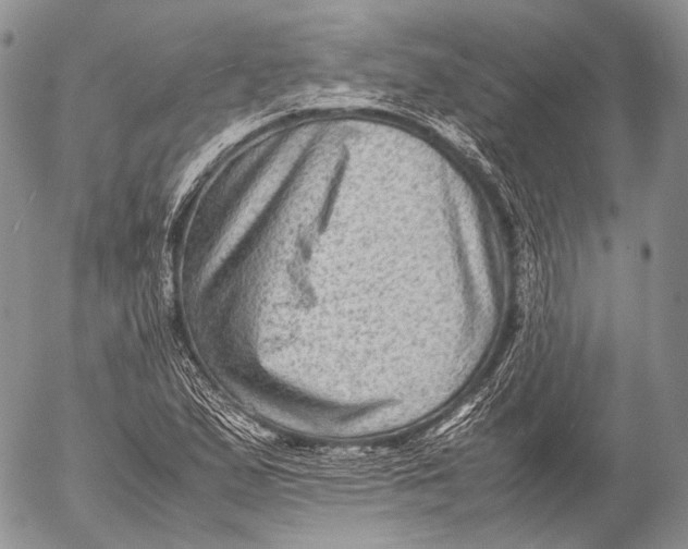 X0000053051167200508081121