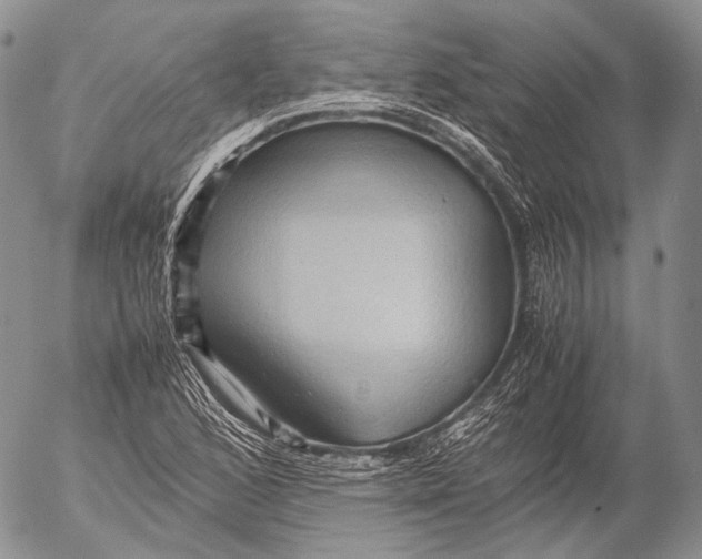 X0000053051168200508081121