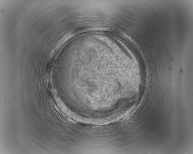 X0000053051169200508081121