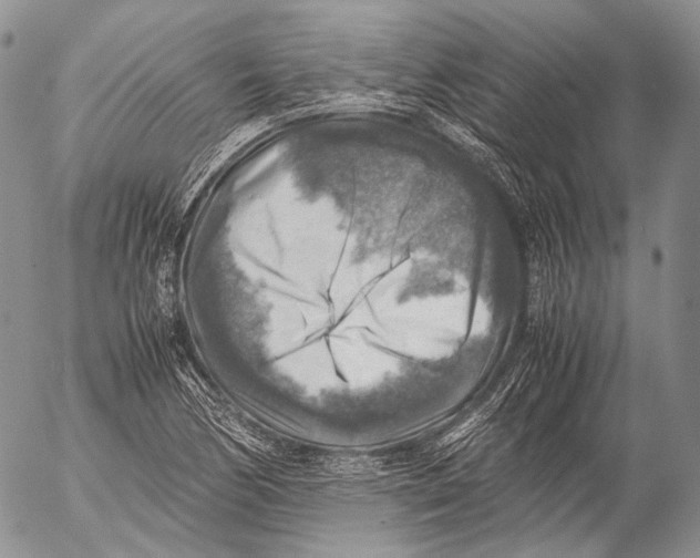 X0000053051170200508081121