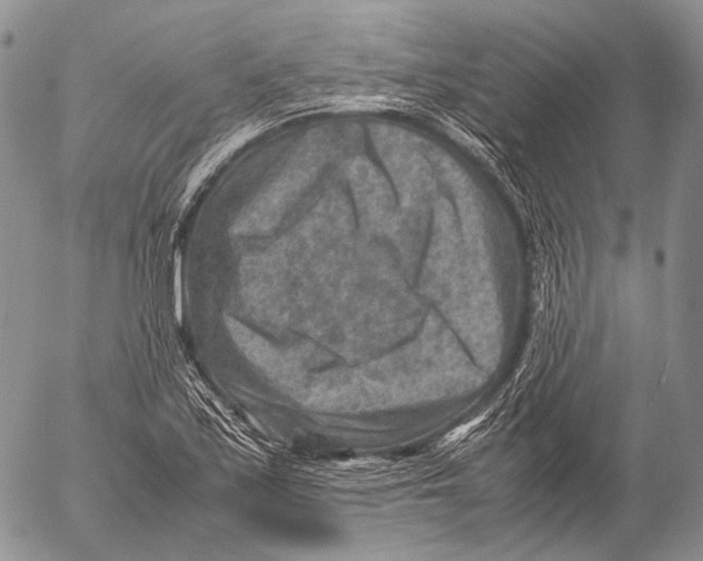 X0000053051171200508081121