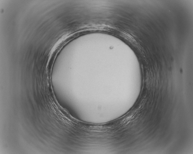 X0000053051172200508081121