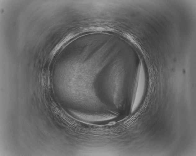 X0000053051173200508081121