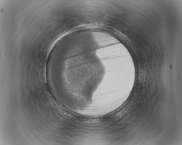 X0000053051174200508081121