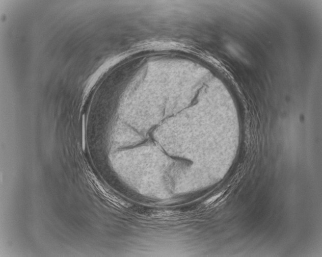 X0000053051175200508081121