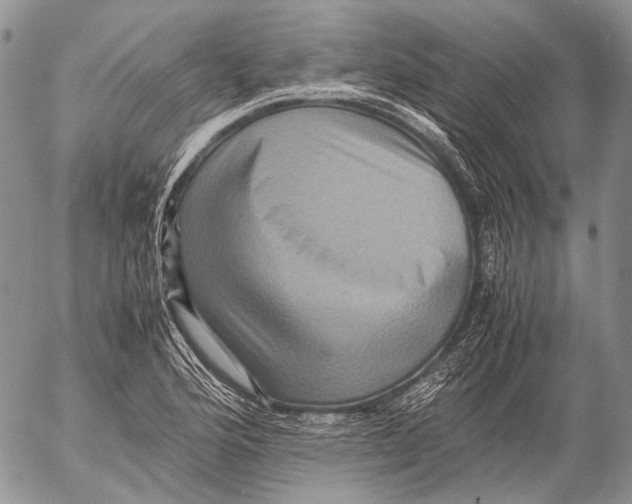 X0000053051176200508081121