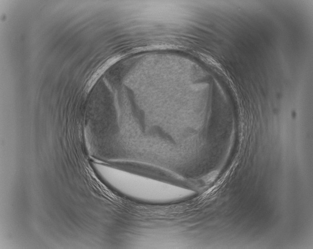 X0000053051177200508081121