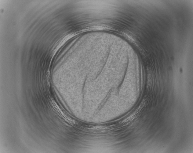 X0000053051178200508081121