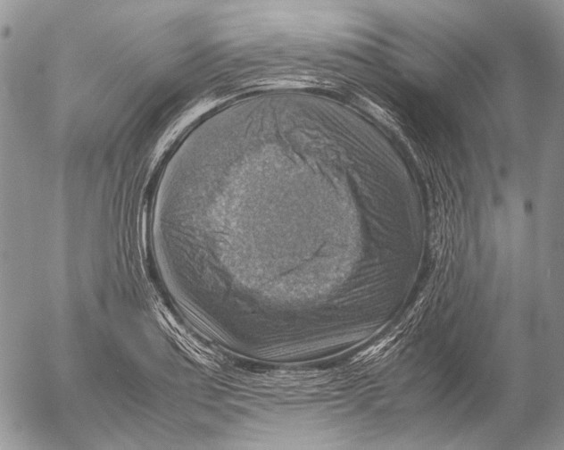 X0000053051179200508081121