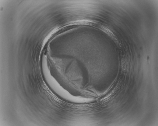 X0000053051180200508081121