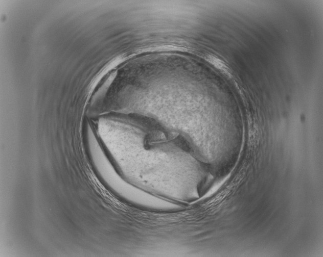 X0000053051181200508081121