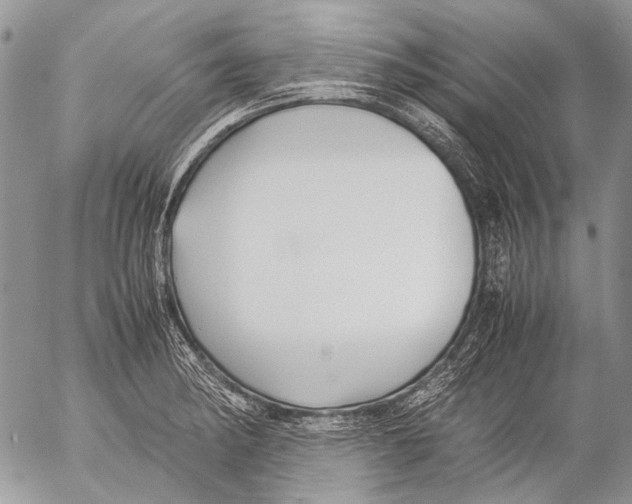 X0000053051182200508081121