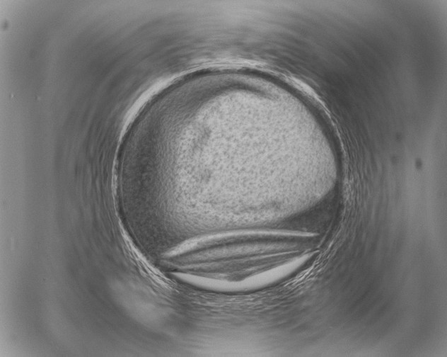 X0000053051183200508081121