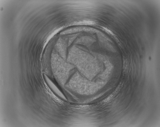 X0000053051184200508081121