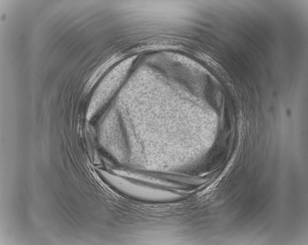 X0000053051185200508081121