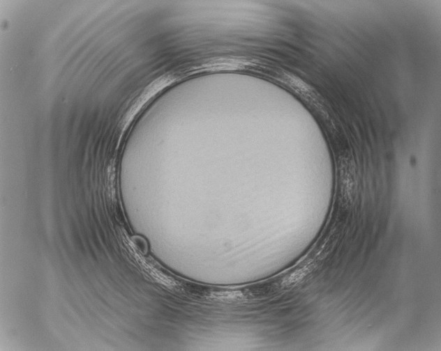 X0000053051186200508081121