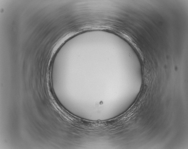 X0000053051187200508081121