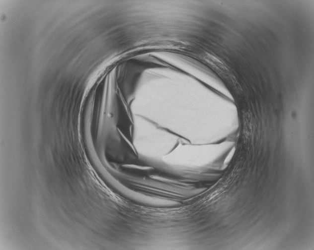 X0000053051188200508081121