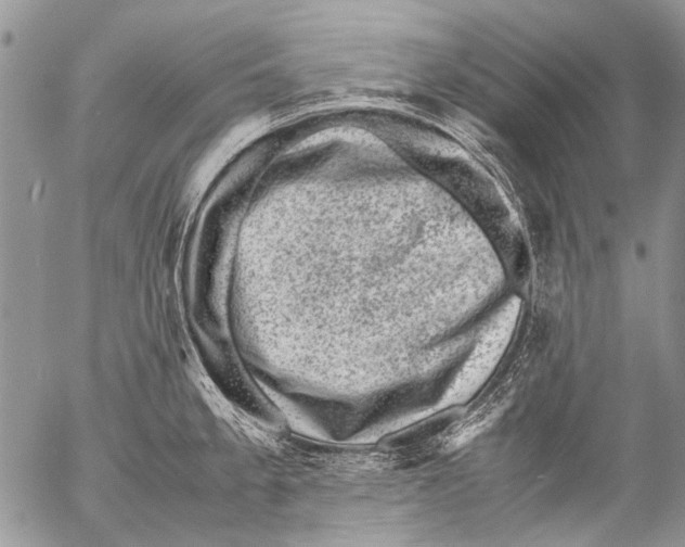 X0000053051189200508081121