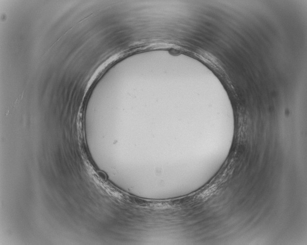 X0000053051190200508081121