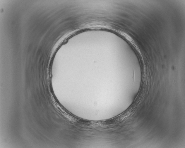 X0000053051191200508081121