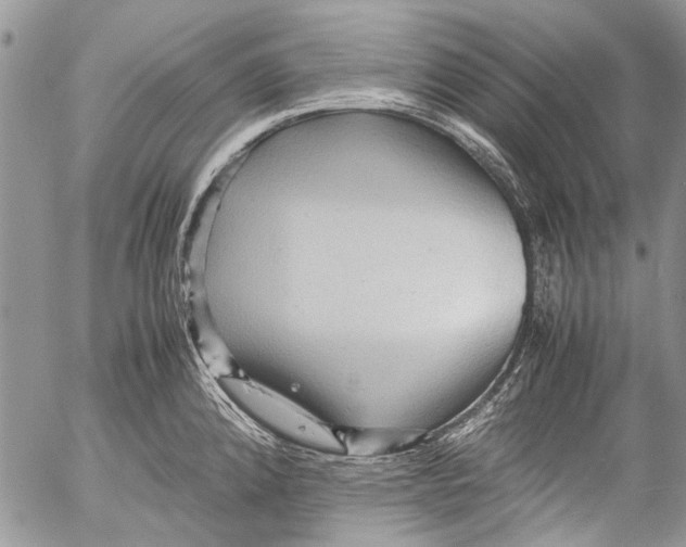 X0000053051192200508081121