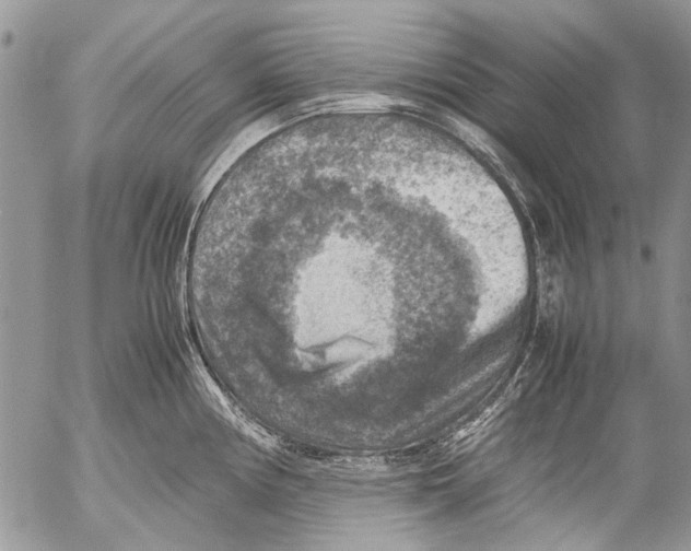 X0000053051194200508081121