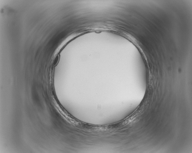 X0000053051195200508081120