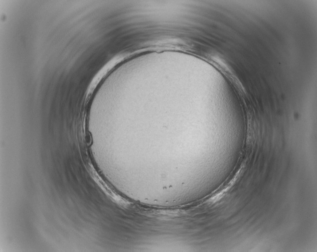 X0000053051196200508081120