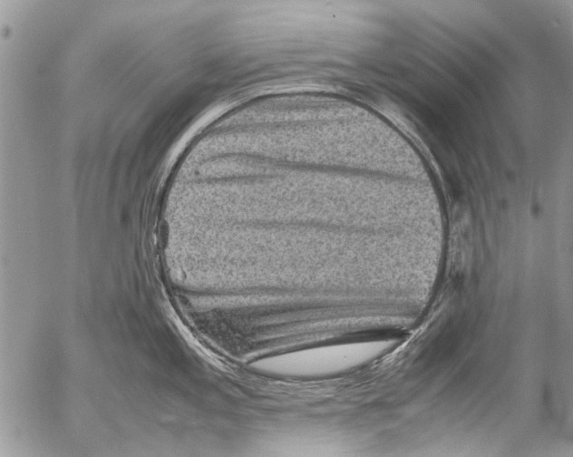 X0000053051197200508081120