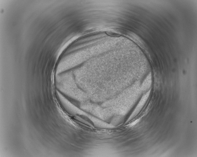 X0000053051198200508081120