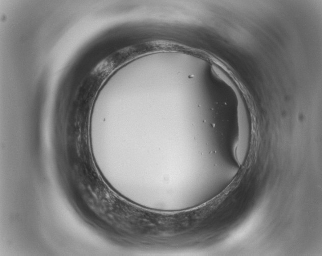 X0000053051199200508081120