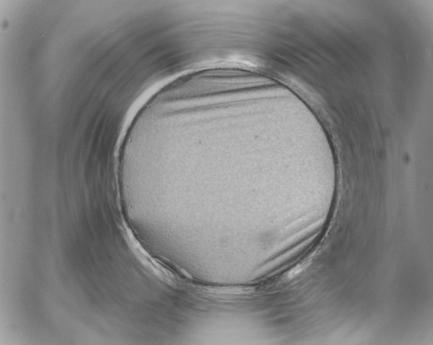 X0000053051200200508081120