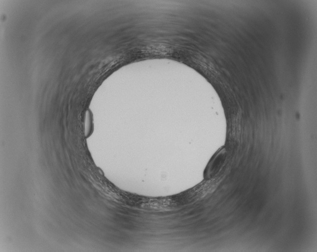 X0000053051201200508081120