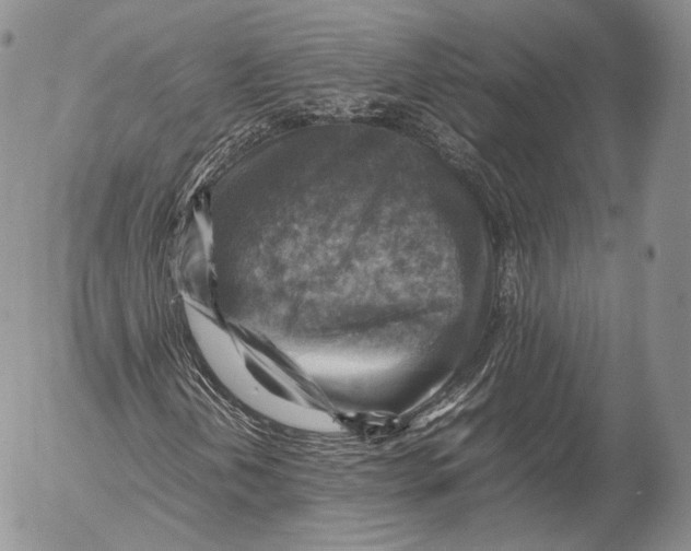 X0000053051202200508081120