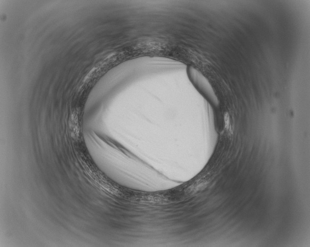 X0000053051203200508081120