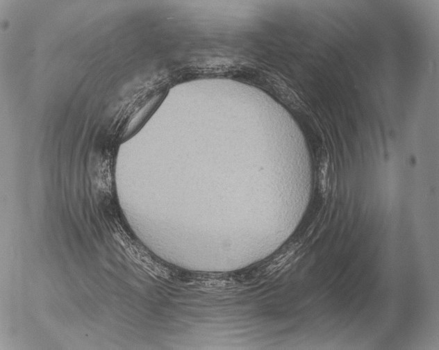 X0000053051204200508081120