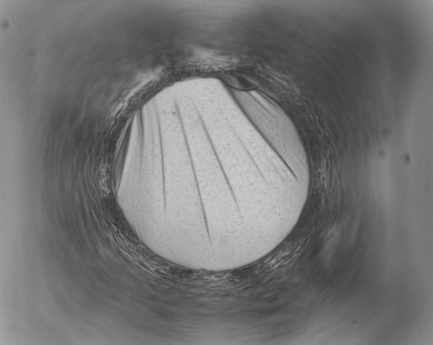 X0000053051205200508081120