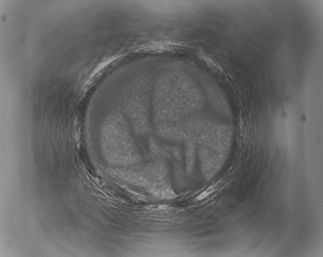 X0000053051206200508081120