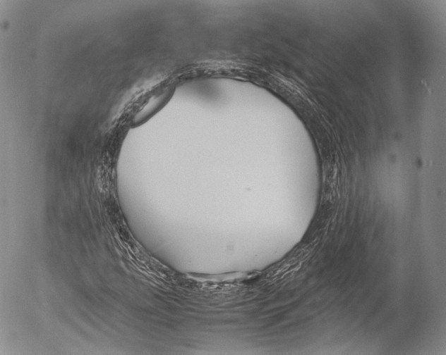 X0000053051207200508081120